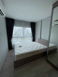 รูปภาพ #A091 For rent Plum Sukhumvit 97/1
