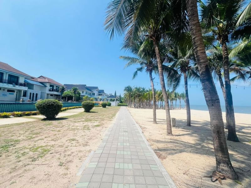 ขายที่ดิน : ขาย ที่ดินติดชายทะเลบางแสน สัมผัสทะเลเพียงแค่ก้าวเดียว