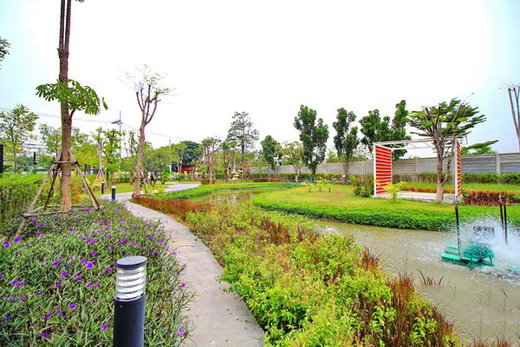 รูป SIAMESE blossom @ fashion - รูปที่ 3/5