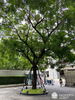 listing thumbnail image 8