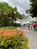 listing thumbnail image 46