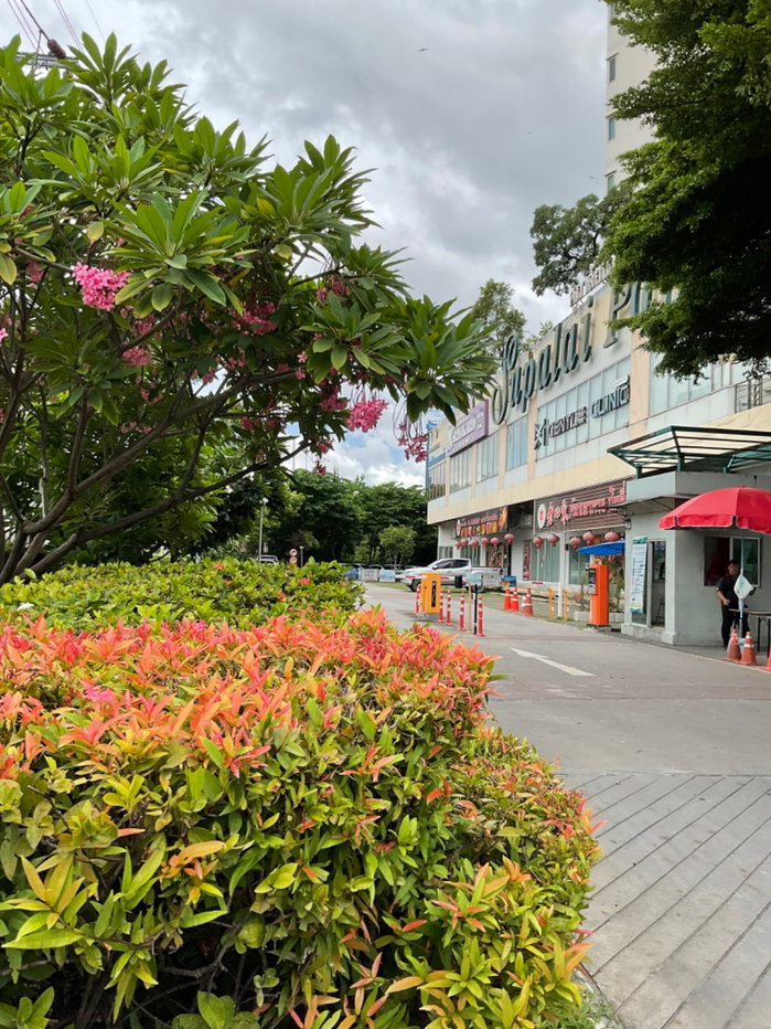 picture ðĨðĨsupalai park srinakarinðĨðĨ - 47/48