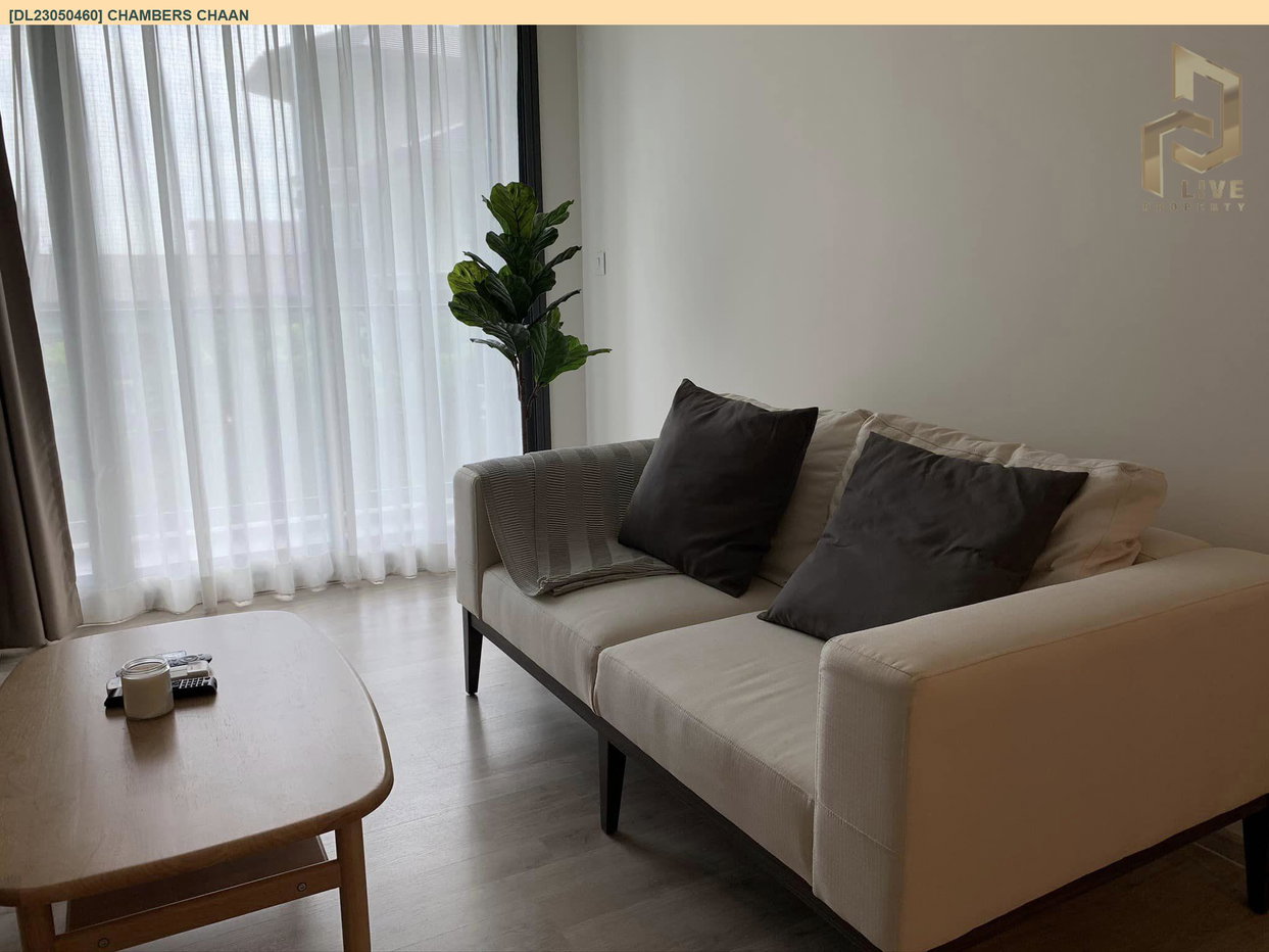 รูป DL23050460 ให้เช่าคอนโด แชมเบอร์ส ชาน (Chambers chaan) ใกล้ BTS เสนานิคม พร้อมเข้าอยู่ โทรด่วน 0653619502 LineID @897iyzll - รูปที่ 1/3