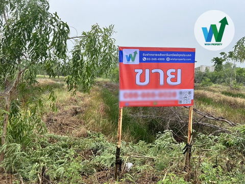 ขายถูกที่ดินเปล่า เนื้อที่ 400 ตร.ว. ไฟเข้าถึง  ใกล้ชุมชนทำบ่อกุ้ง เหมาะทำโกดัง,โรงงาน,,ที่อยู่อาศัย,บ้านพักตากอากาศ, ทำแปลงเกษตร ปลูกพืชหมุนเวียน