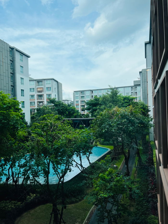 รูป 📍ให้เช่า ดีคอนโดพิงค์วิวสระ ชั้น 3ตึกA 30ตรม. ☎️064-792-4426 - รูปที่ 32/44
