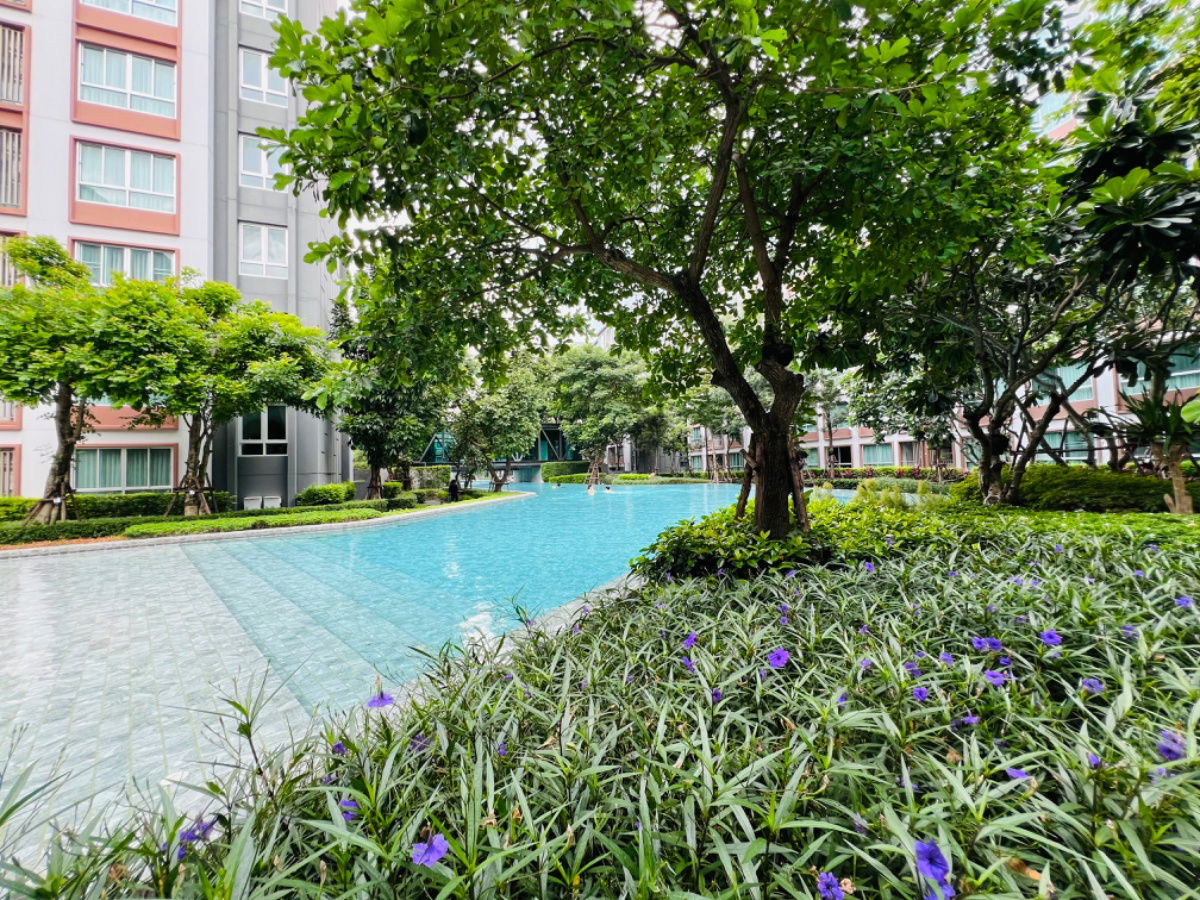 รูป 📍ให้เช่า ดีคอนโดพิงค์วิวสระ ชั้น 3ตึกA 30ตรม. ☎️064-792-4426 - รูปที่ 35/44