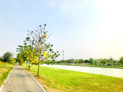 Land for sale Bang Yai Nonthaburi : Land for sale, 9 rai, road in front and back next to canal,near Khlong Prapa Maha Sawat, Wat Pa Maneekan, Kanchanaphisek Rd, Central westgate