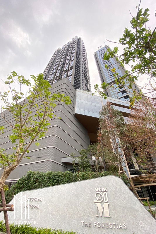 picture For Rent: Whizdom The Forestias (Destinia), high floor with a full, unobstructed view, facing north, 35.13 sq.m., 1 bedroom. - 11/15