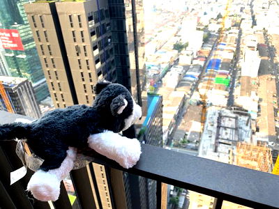 For Rent Life Asoke Rama 9 Super high floor cosy and nicely decorated near MRT Phra Ram 9 and new CBD