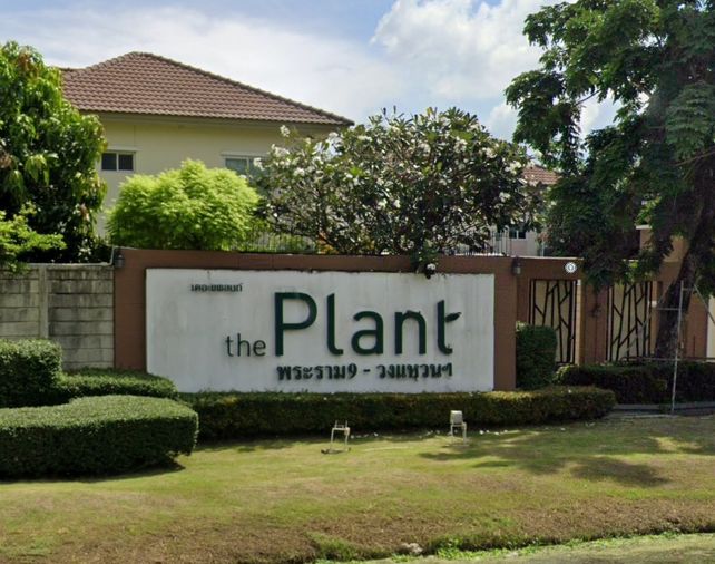 เดอะ แพลนท์ พระราม 9 - วงแหวน