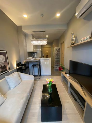M Thonglor10 คอนโดเลี้ยงสัตว์ได้ ใจกลางทองหล่อ ขายด่วน ตกแต่งสวย พร้อมเข้าอยู่