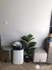 listing thumbnail image 5