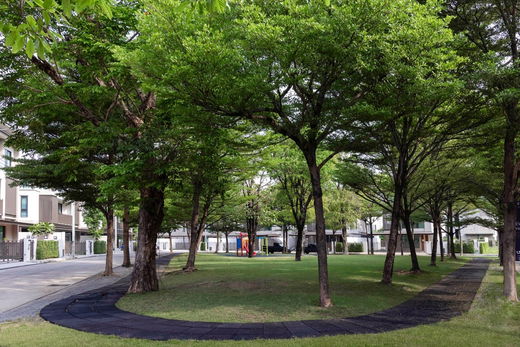 รูป AQ Arbor - รูปที่ 3/16