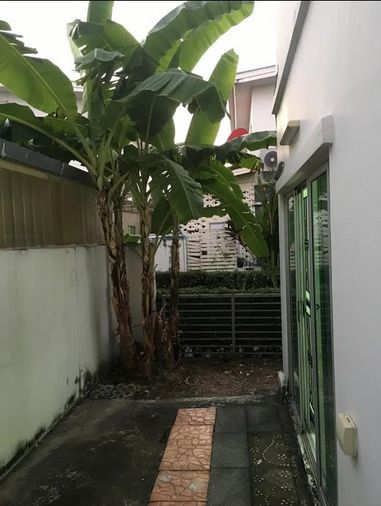 3-bed townhouse for sale, 220 sqm, 28.5 sq wah, The Connect Onnut 15