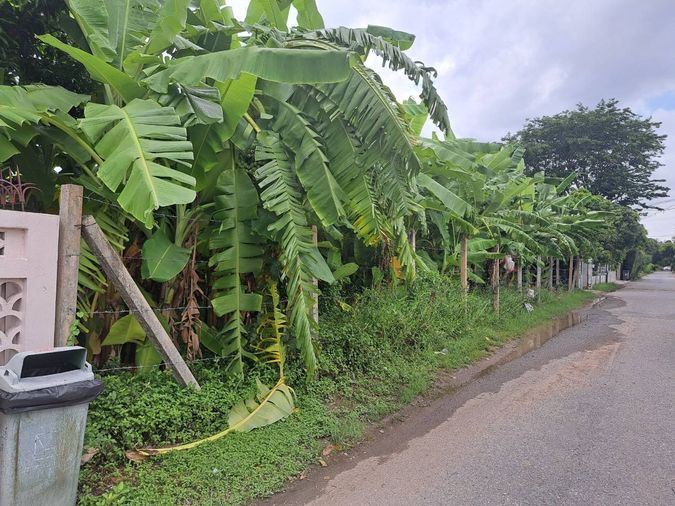 Land for sale, 202 sq wah, Bang Khen