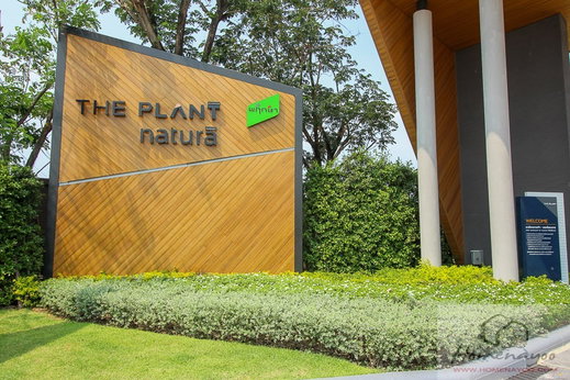 Project The Plant & Natura Trend Pinklao - Sai 5 Picture - 2/15