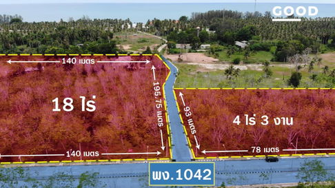 ขายที่ดินโคกกลอย ตะกั่วทุ่ง พังงา ที่ดินสวยติดถนนใหญ่ใกล้หาดนาใต้เพียง 600 เมตร ด่วนปรับลดราคา !!!