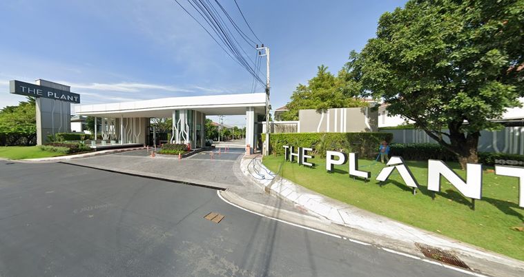 เดอะ แพลนท์ พัฒนาการ 