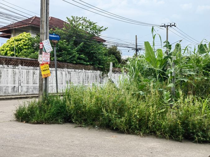 ขายที่ดิน 424 ตร.ว. เขตประเวศ