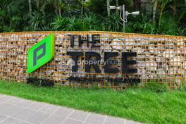 Project The Tree Sukhumvit 71 - Ekamai Picture - 5/56