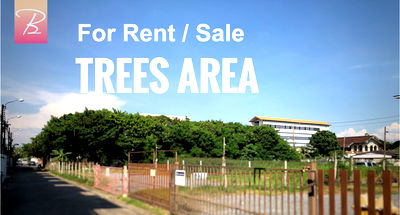 ที่ดิน เขตประเวศ : ขาย ที่ดินทองผังสีส้ม 1 ไร่ เฉลิมพระเกียรติ ร.9 (ซอย 25-27)