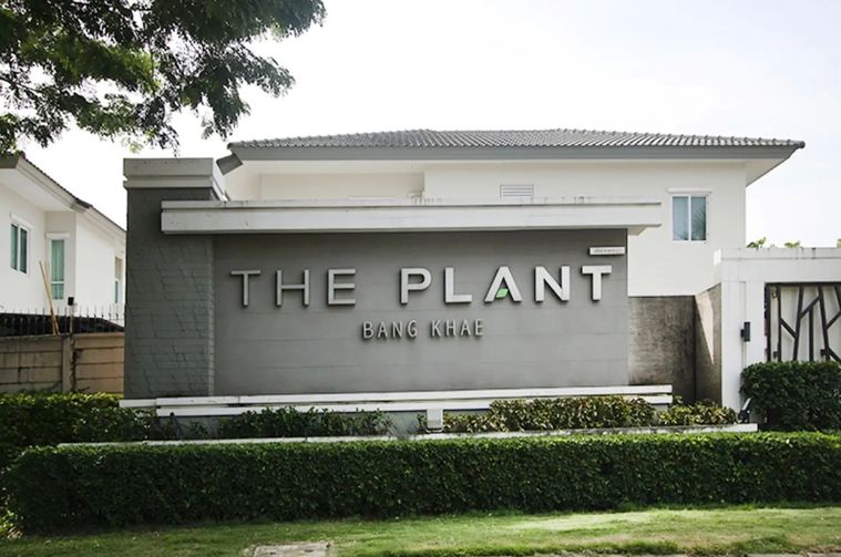 เดอะ แพลนท์ บางแค