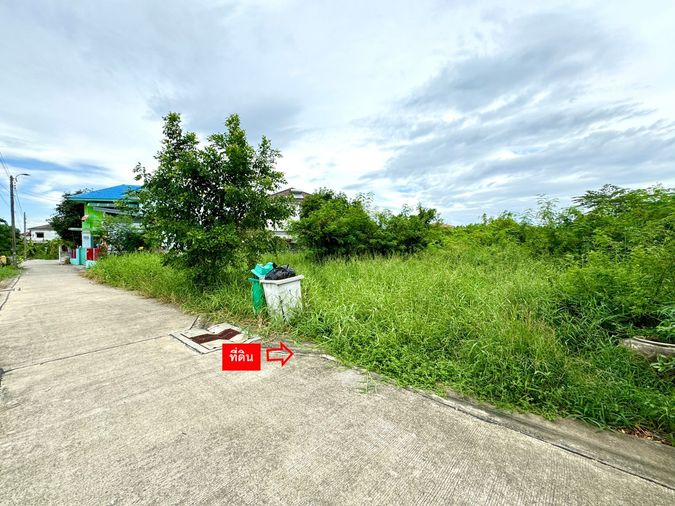 Land for sale, 208 sq wah, Lak Si