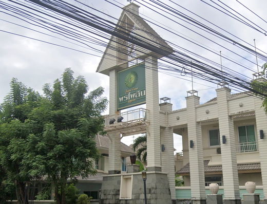 รูป Pornpailin - รูปที่ 1/1