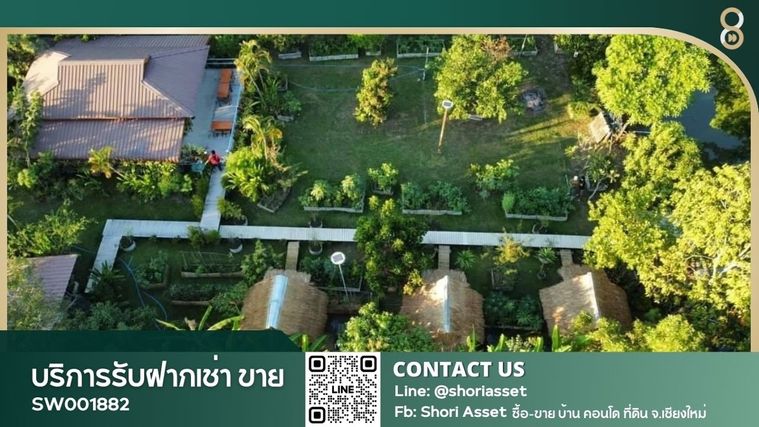 ขายบ้านสวน พร้อมร้านอาหาร ที่ดิน 1 ไร่ 2 งาน 85 ตรว โซนแม่ริม บรรยากาศสงบ ร่มรื่น ใกล้ถนนหลัก ใกล้แหล่งอำนวยความสะดวก - SW001882