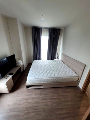 Condos for rent : For Rent   :   Nia by Sansiri  (ST-02)