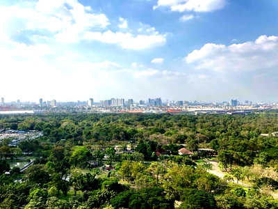 Condos for sale Chandrakasem Rajabhat University : For Sale The Line Jatujak-Morchit Ready to move in (S15-35154)