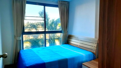 คอนโดให้เช่า : [[ให้เช่า]]คอนโด 📌📌วิวสวน ใกล้เดอะมอลล์บางกะปิ mrtแยกลำสาลีคอนโด ลิฟวิ่งเนสท์ รามคำแหง 🌱🪴