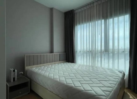 รูปภาพ P525 Condo for rent The Tree Sukhumvit71-Ekamai, Sukhumvit Road side, beautiful room, fully furnished, ready to move in immediately.