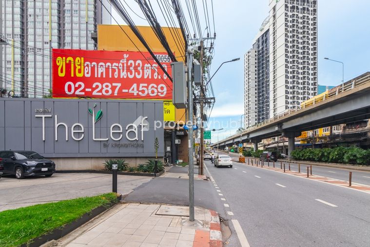The Leaf