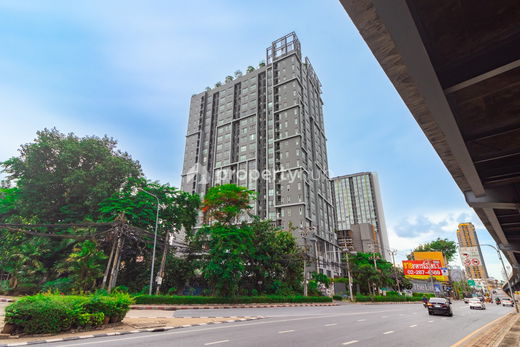 Project The Leaf Picture - 2/17