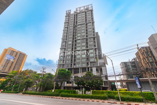 Project The Leaf Picture - 3/17