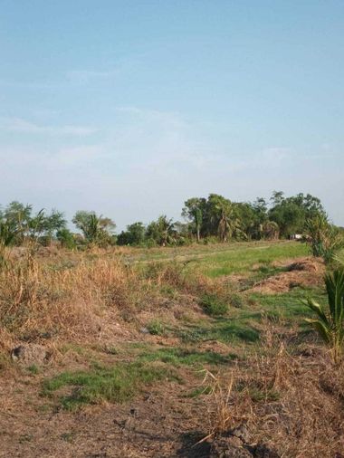 Sales  Lumlukka Klong 8 Lands qty  13,903.2 Wa .   Suitable  for Investment  and  build  Factory  , Warehouse