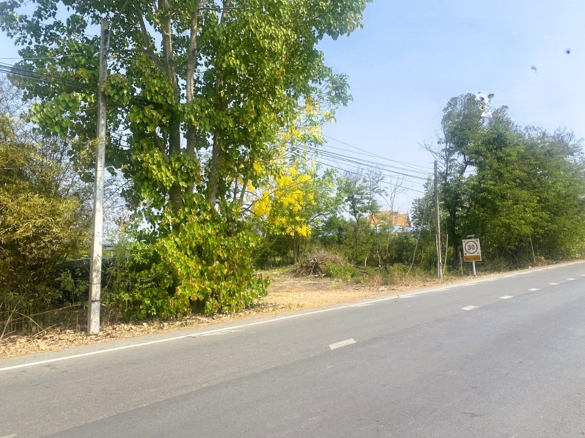 ขายที่ดินเปล่า คลอง 7 ขนาด 19-2-86 ไร่ หนองเสือ ปทุมธานี ราคาดี