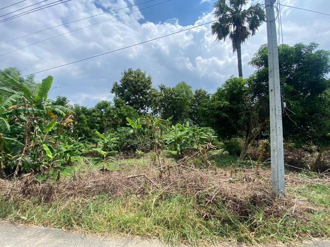 Sales  Land of Samkok Patumtanee  qty 2046  Square Wa Good location. 