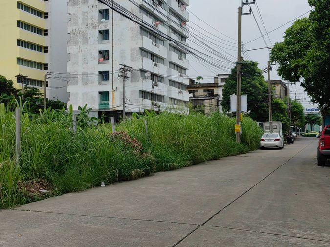 Land for sale, 424 sq wah, Prawet