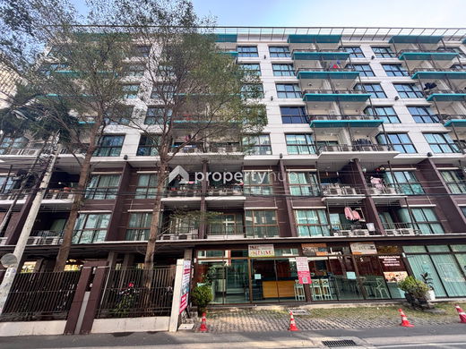 รูป Summer Garden - รูปที่ 3/11