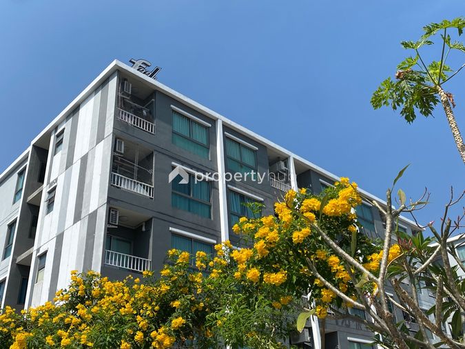 Feel Condo Pinklao - Charan 59