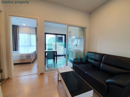รูปภาพ DL101948 Condo for rent, The Tree Sukhumvit 71 - Ekamai near สายสีส้ม, ready to move in, call urgently 0614453194 LineID @162cjixi