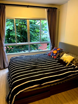 Condos for sale 700 Year Sports Arena Chiang Mai : For Sale Dcondo Rin Chiang Mai 