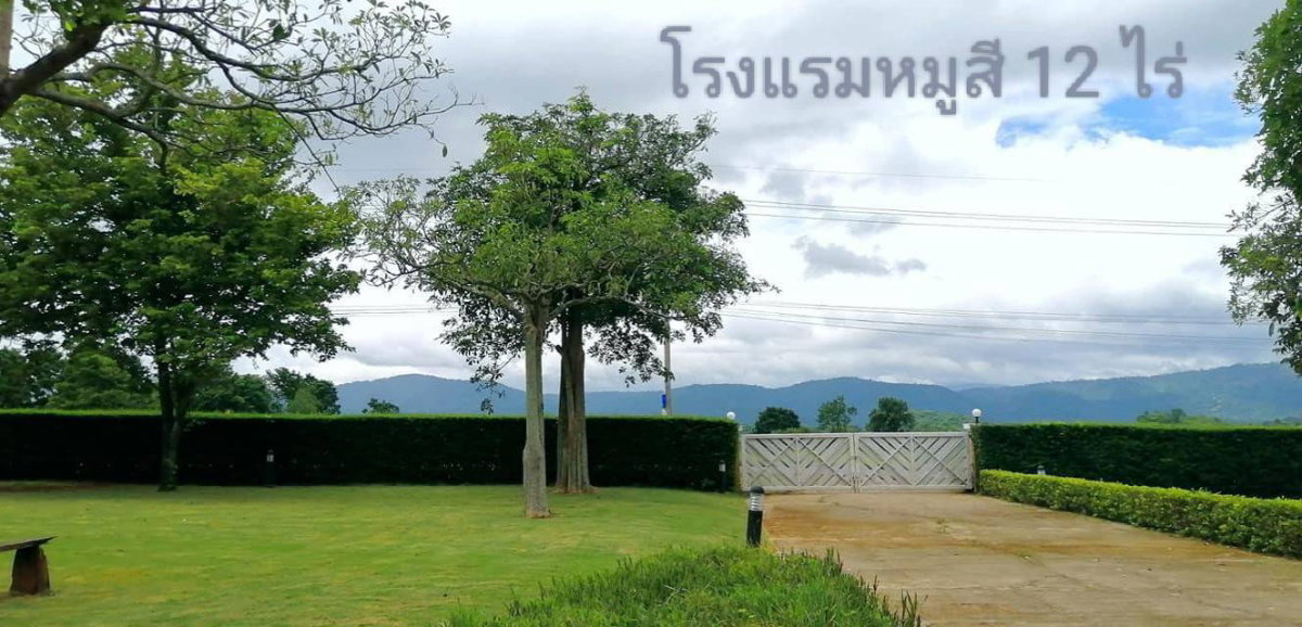 ขายโรงแรมเขาใหญ่ หมูสี ปากช่อง 12 ไร่ โรงแรมสวยพร้อมดำเนินกิจการได้เลย วิวเขาใหญ่สวยมาก ใกล้ถนนธนะรัชต์ สถานที่ท่องเที่ยว  Best Deal 087-9074045
