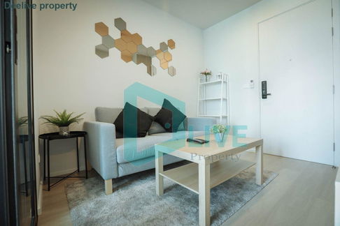 DL013237 ให้เช่าคอนโด เซียล่า ศรีปทุม (Ciela Sripatum) ใกล้ BTS บางบัว พร้อมเข้าอยู่ โทรด่วน 0800343450 LineID @655ebbvc