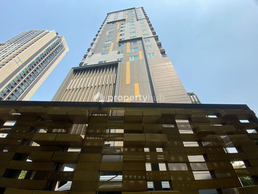 รูป Amber by Eastern Star - รูปที่ 3/13