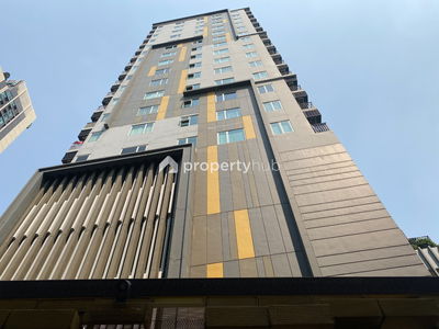 Amber by Eastern Star