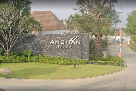 อัญชัน ฟลอร่า