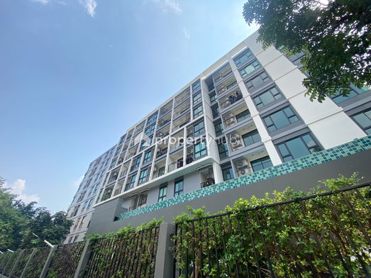 Project Sucharee life 2 Picture - 3/8